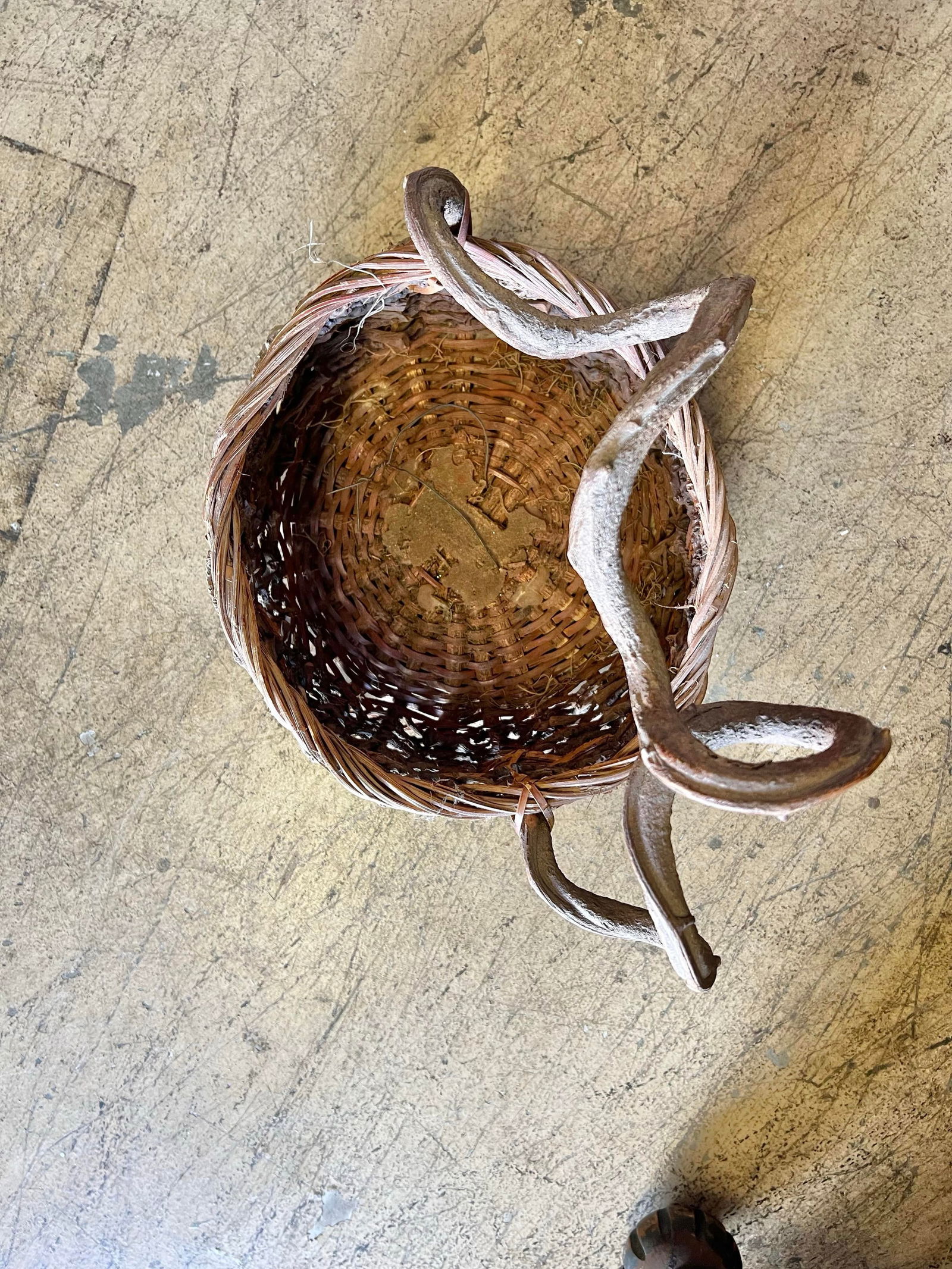 Early 20th Century Vintage Basket with Twisted Vine Handle - 3