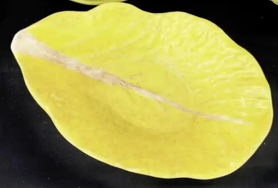 Yellow Portuguese Cabbage Leaf Dinnerware Set of Fifty Four Pieces - 7