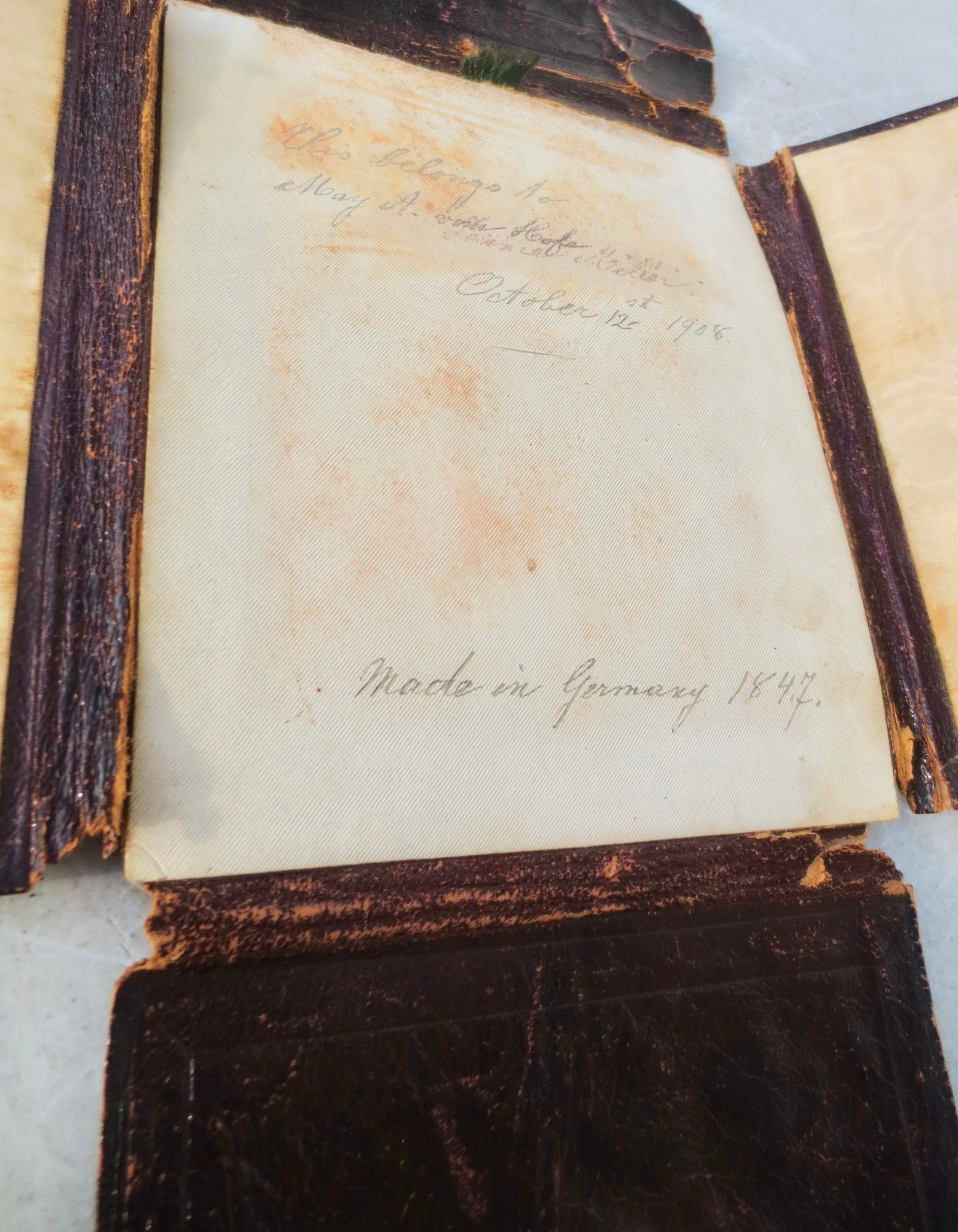 Johann Martin Morgenroth Porcelain Portrait 1847 - 7