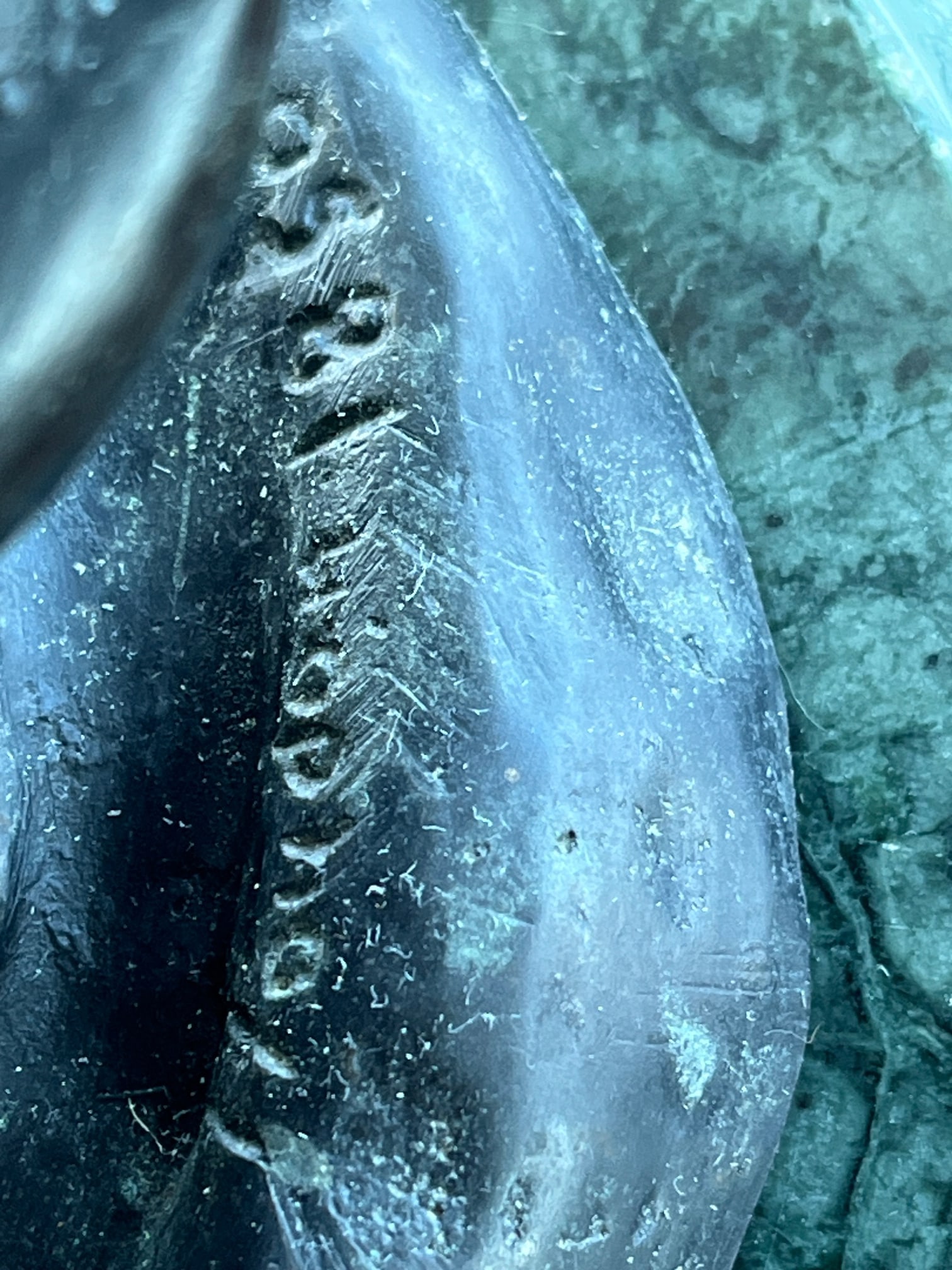 Early 20th Century Large 18" Patinated Metal Bust After Luca Madrassi – Heavy 27lb Sculpture - 6