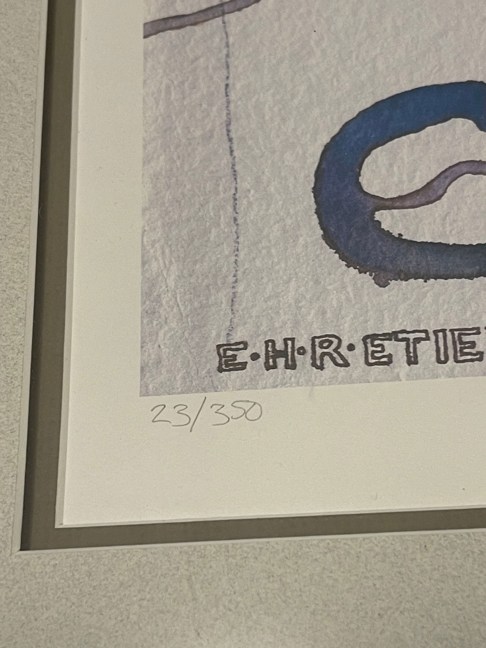 Etienne Velvety Blue Peach Watercolor Lithograph "Tropical Fusion" #23/350 Signed Framed - 6