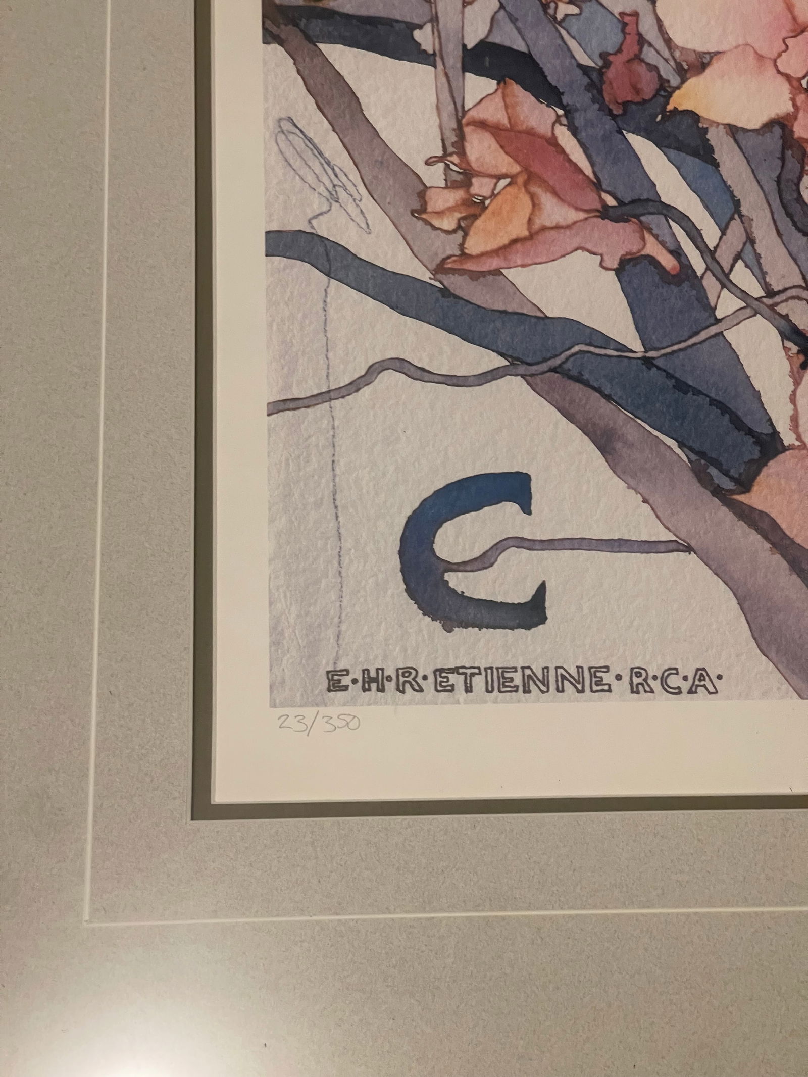 Etienne Velvety Blue Peach Watercolor Lithograph "Tropical Fusion" #23/350 Signed Framed - 9