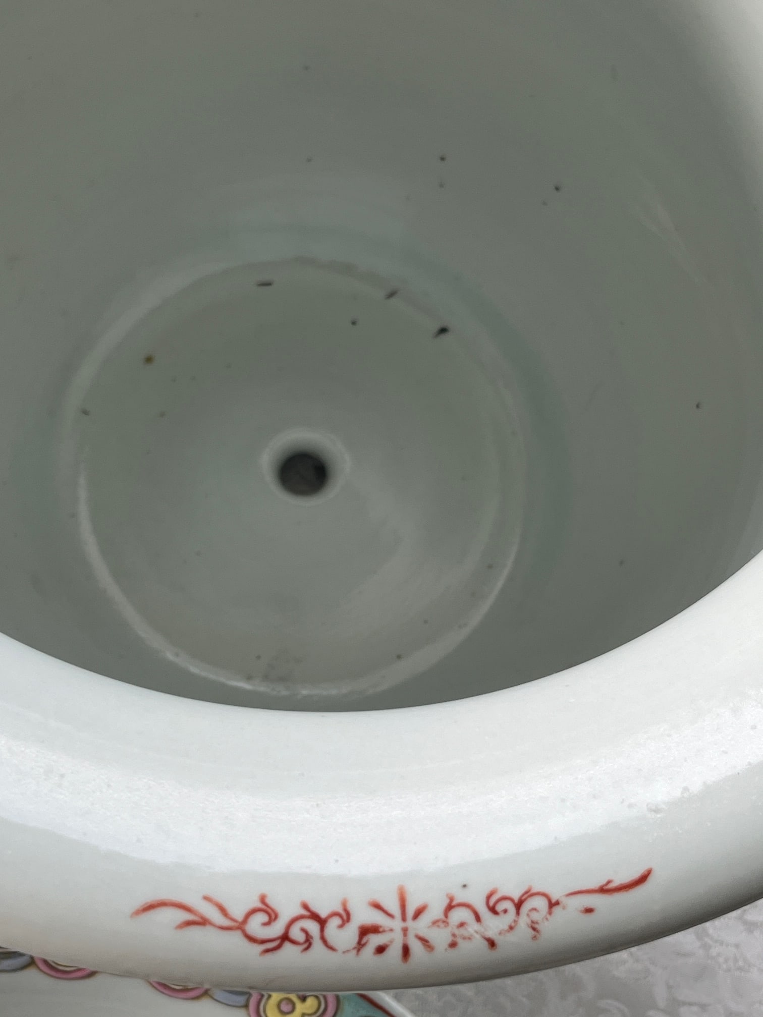 Pair Large 13" Chinese Famille Jaune Phoenix Porcelain Planters & Trays-Heavy - 5