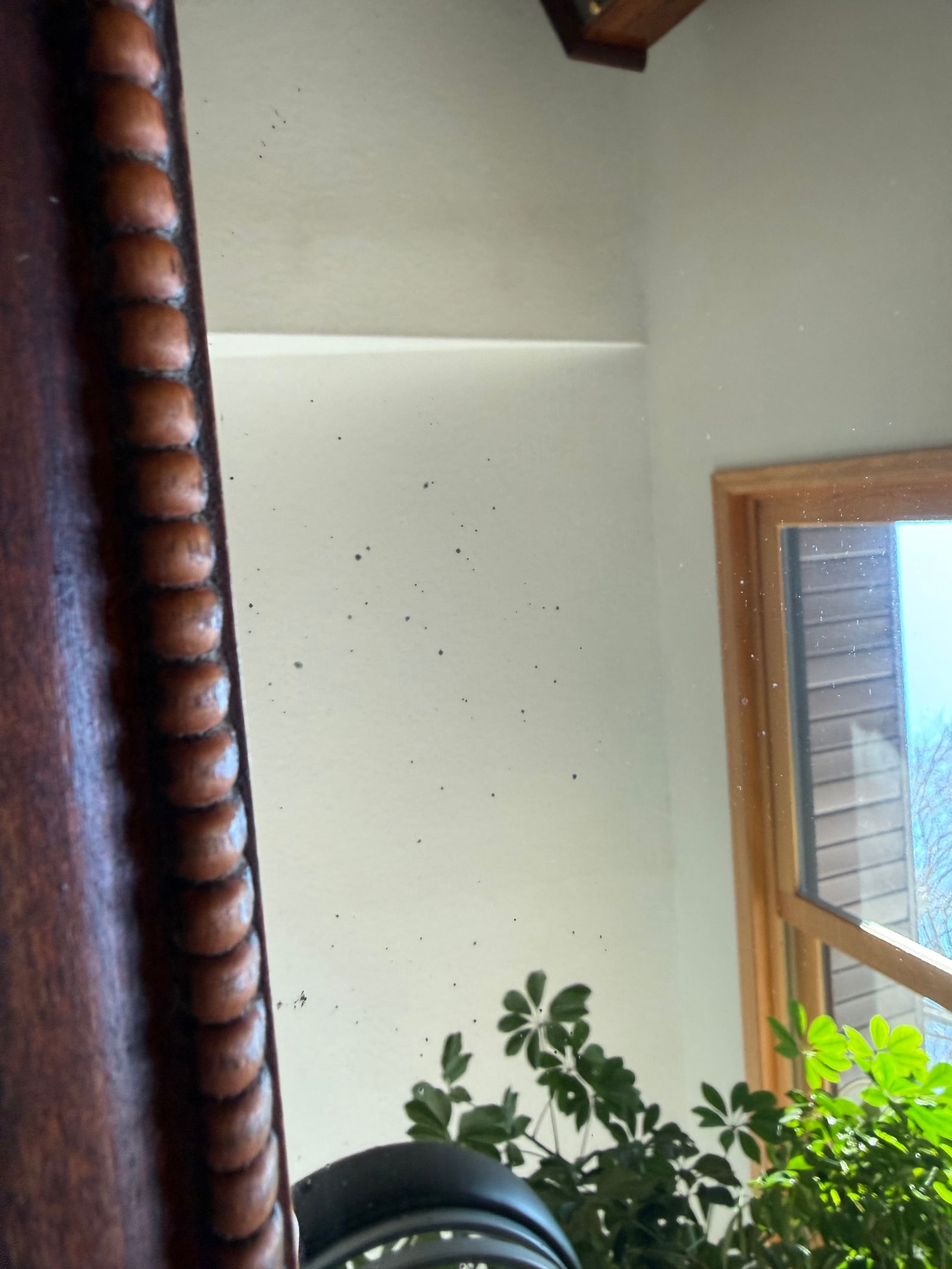 1940s Neoclassical Chippendale Mahogany Wall Mirror - 9