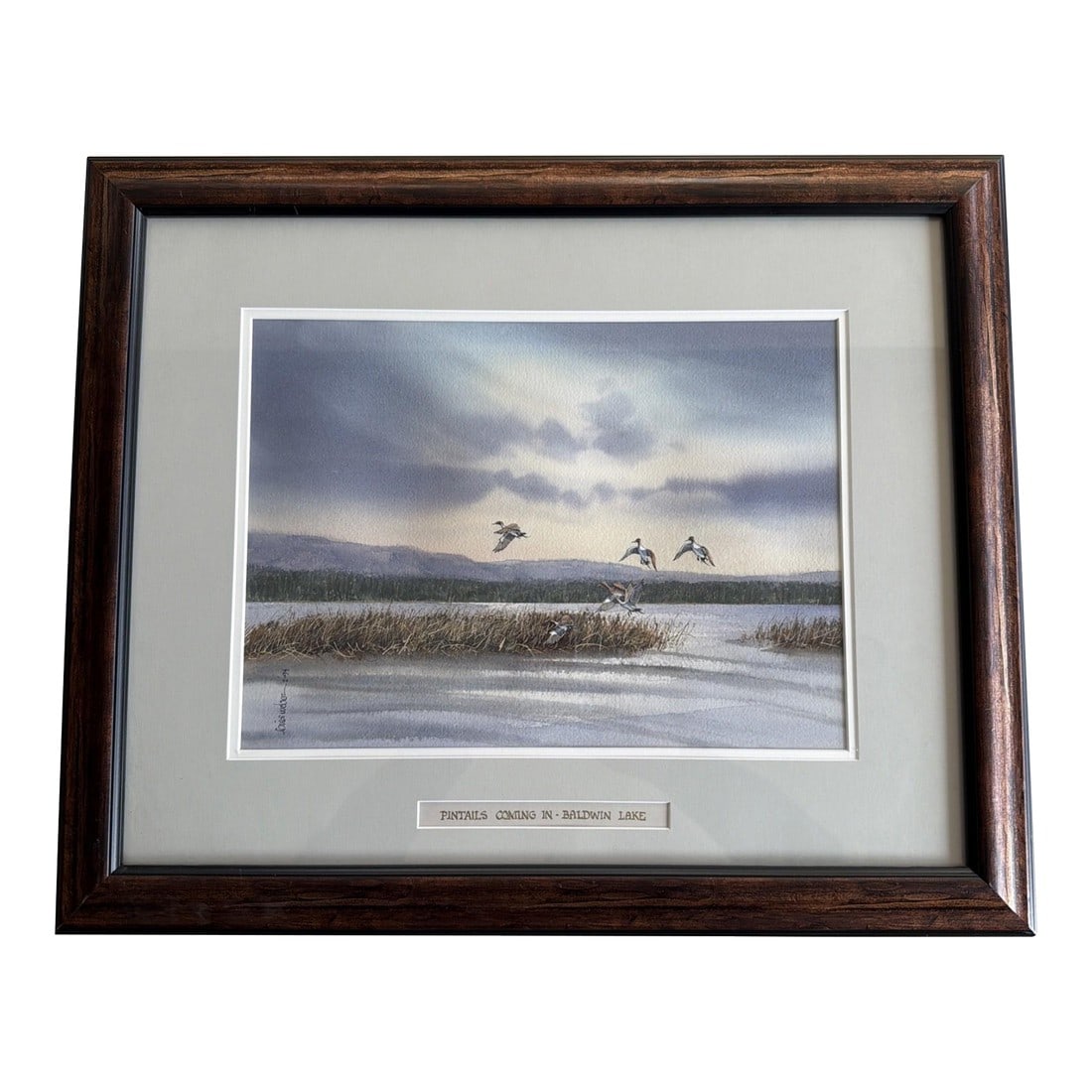 Original 1994 Signed Louis Weber Watercolor Pintails Ducks Baldwin Lake CA: Original Watercolor by Louis John Weber (1930-1995) Title: Pintails Coming In Â– Baldwin Lake Date: 1994 Medium: Watercolor on paper Signed: Lower right and dated '94 This is an