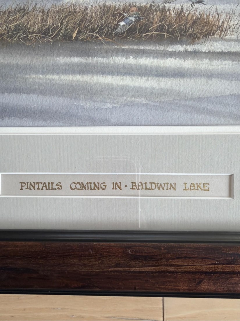 Original 1994 Signed Louis Weber Watercolor Pintails Ducks Baldwin Lake CA - 6