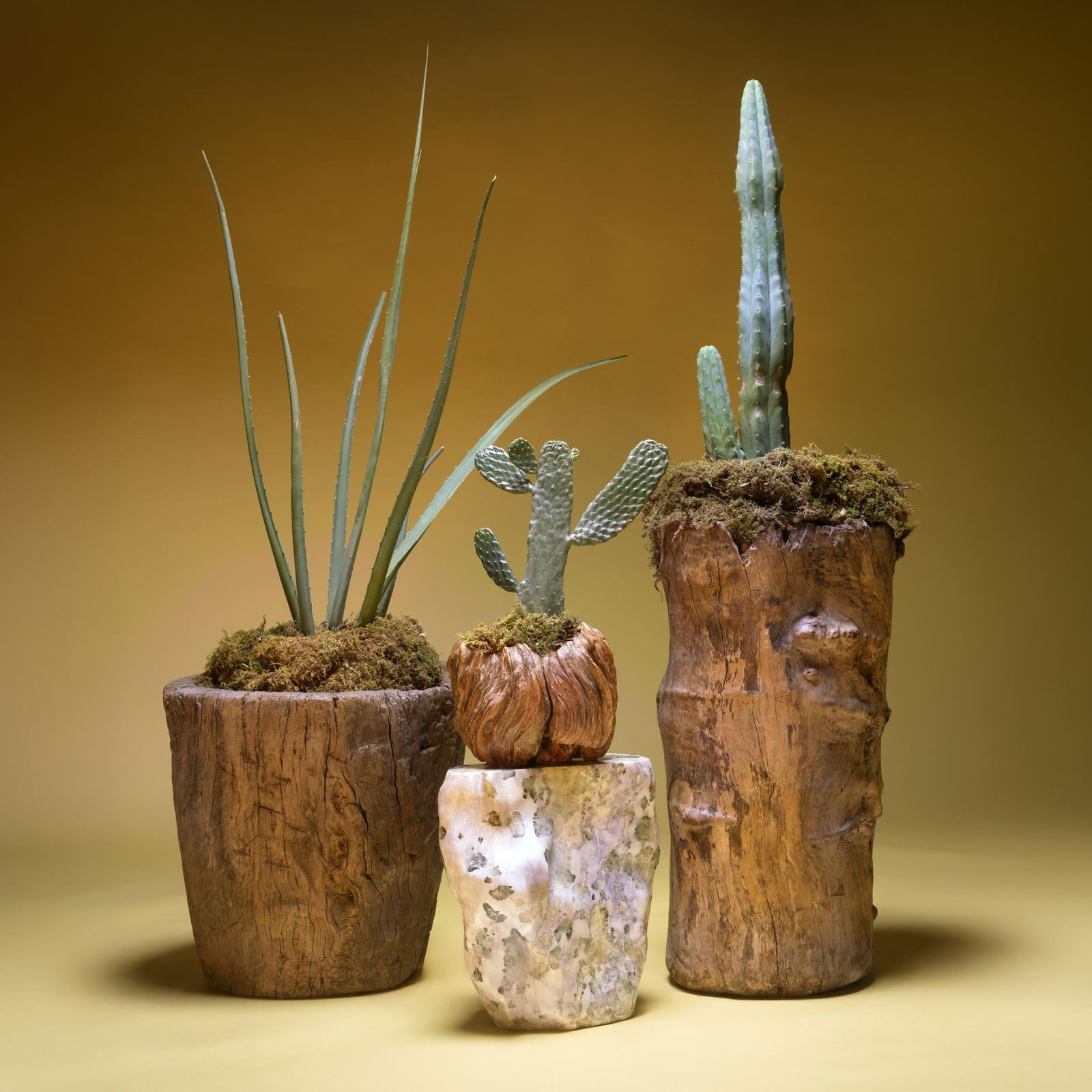 Chinese Gnarled Trunk Mortar, C. 1900 - 3