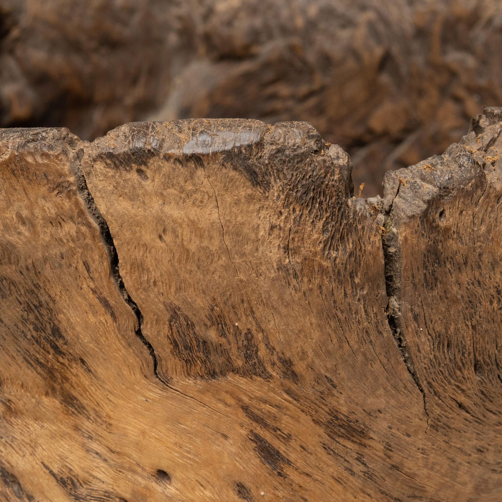 Chinese Gnarled Trunk Mortar, C. 1900 - 6