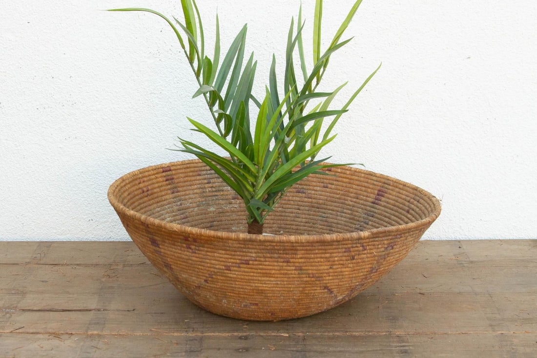 Large Tribal Pattern Nomadic Harvest Bowl - 2