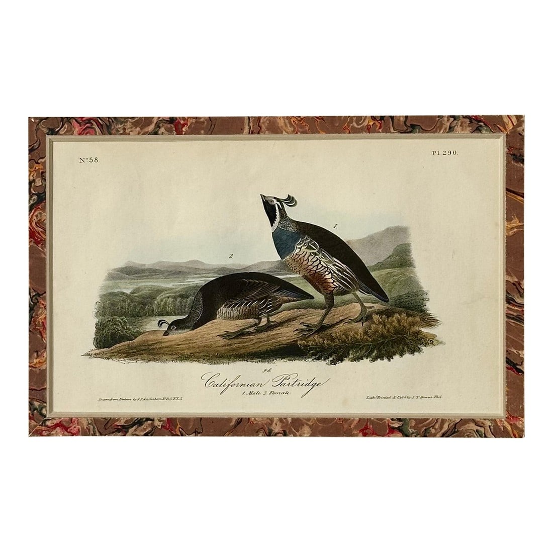 California Patridge Original 1st Edition Print by John James Audubon, 1842: Original 19th century John James Audubon hand colored 1st edition lithograph from Audubon's "Birds of North America", printed and colored by J.T. Bowen and published in Philadelphia, 1842.