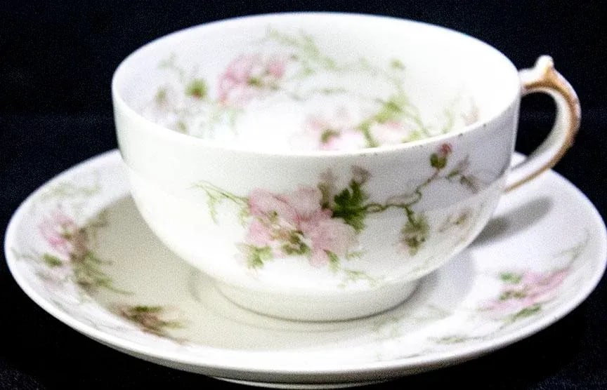 Charles Fields Haviland Limoges China Schleiger377 Pattern - Huge Set - 4