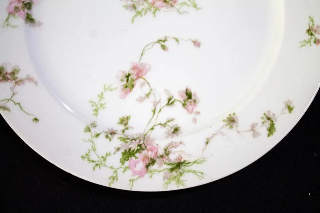 Charles Fields Haviland Limoges China Schleiger377 Pattern - Huge Set - 5