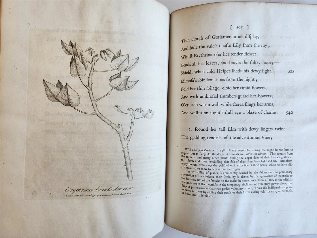 1790-91 BOTANIC GARDEN by ERASMUS DARWIN antique ILLUSTRATED by WILLIAM BLAKE - 10