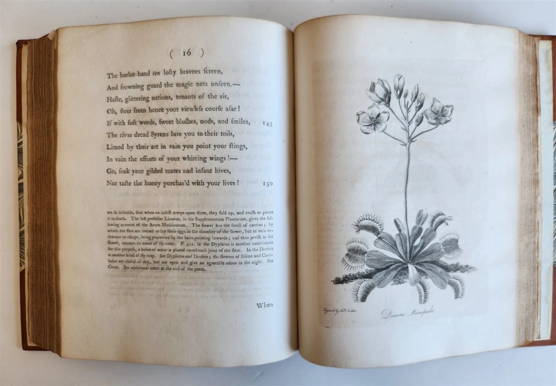 1790-91 BOTANIC GARDEN by ERASMUS DARWIN antique ILLUSTRATED by WILLIAM BLAKE - 16