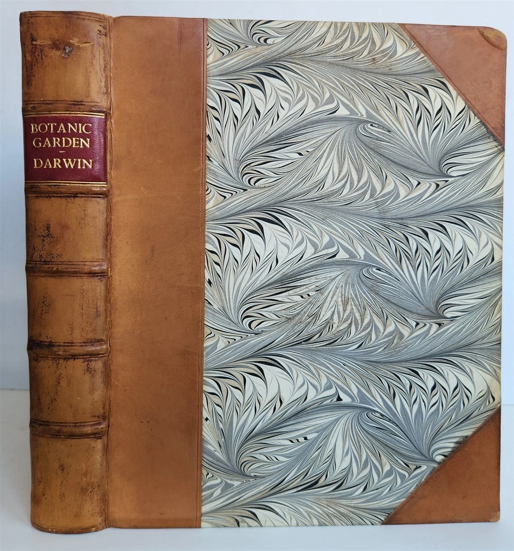 1790-91 BOTANIC GARDEN by ERASMUS DARWIN antique ILLUSTRATED by WILLIAM BLAKE - 3