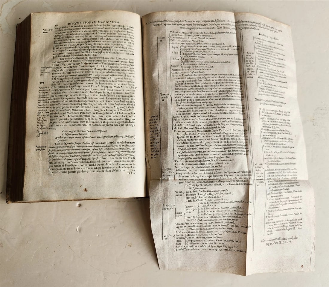 1603 Disquisitionum magicarum by Martin DEL RIO antique MAGIC TREATISE FOLIO - 10