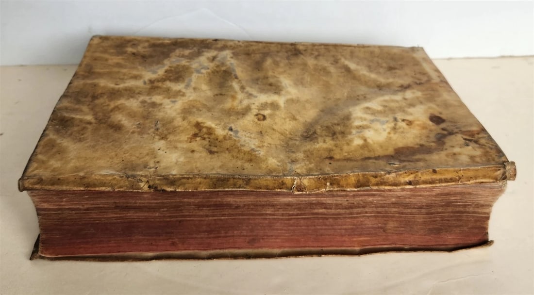 1603 Disquisitionum magicarum by Martin DEL RIO antique MAGIC TREATISE FOLIO - 3