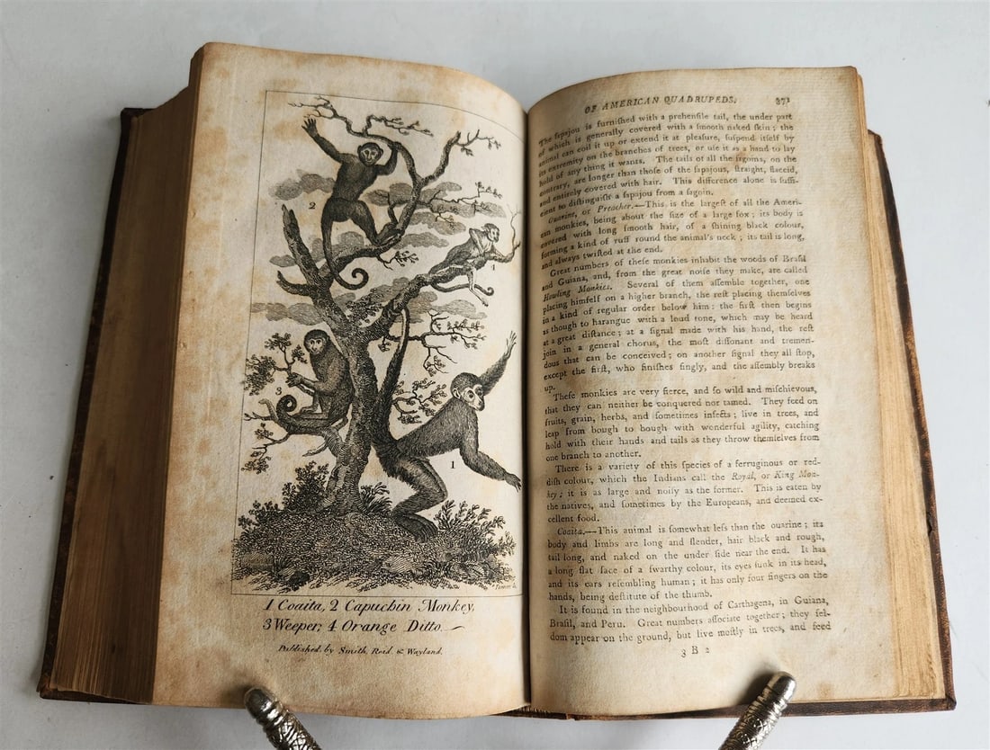 1796 Historical Geographical Commercial Philosophical View of USA 4 VOLS antique - 10