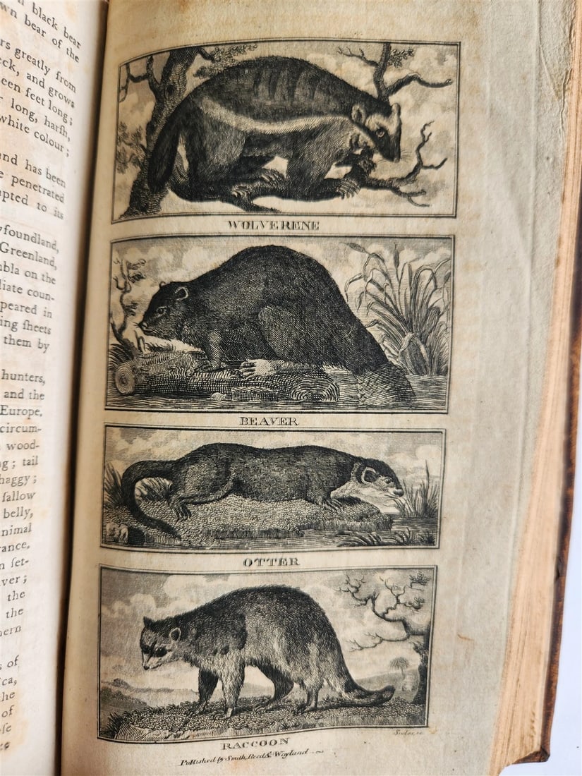 1796 Historical Geographical Commercial Philosophical View of USA 4 VOLS antique - 14