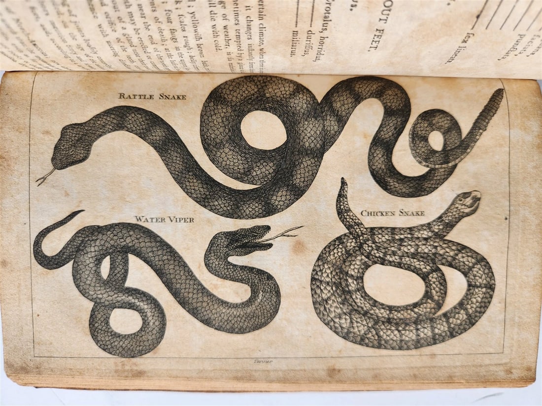 1796 Historical Geographical Commercial Philosophical View of USA 4 VOLS antique - 4