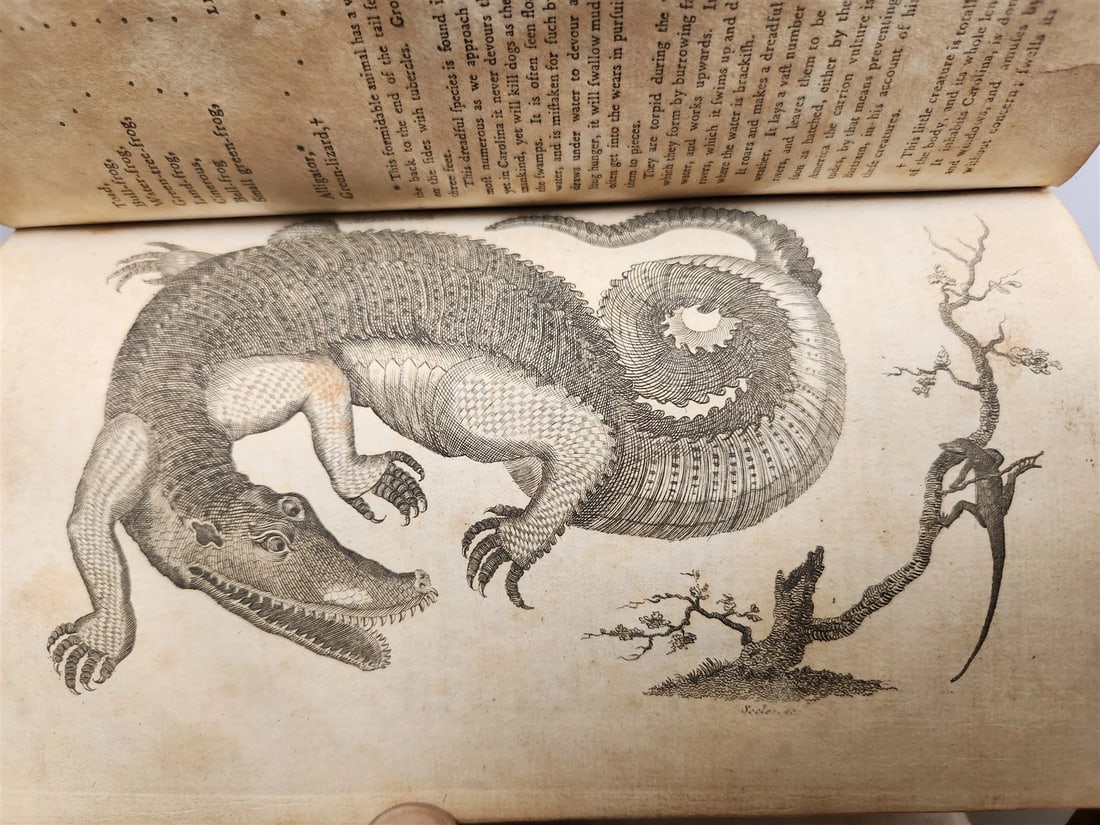 1796 Historical Geographical Commercial Philosophical View of USA 4 VOLS antique - 5