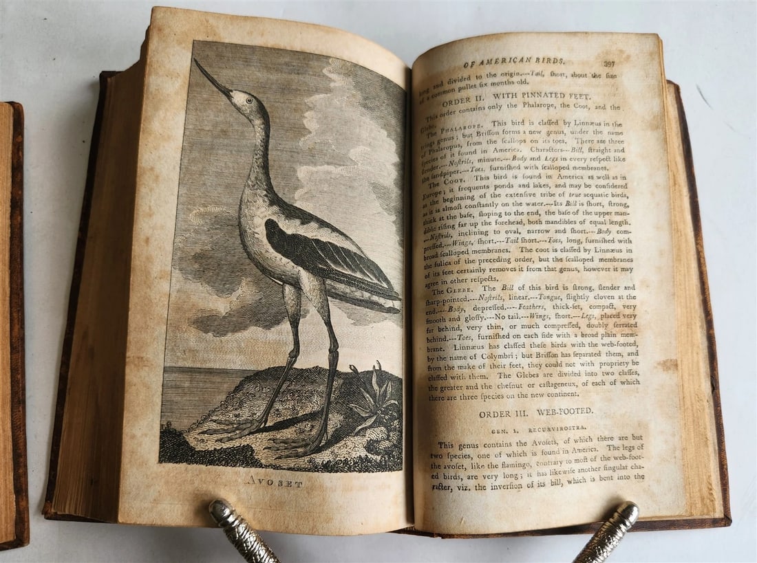 1796 Historical Geographical Commercial Philosophical View of USA 4 VOLS antique - 6