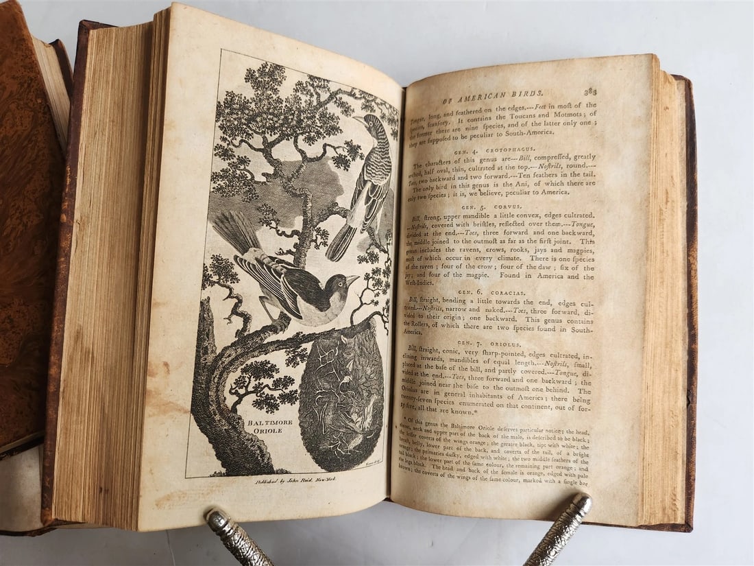 1796 Historical Geographical Commercial Philosophical View of USA 4 VOLS antique - 8