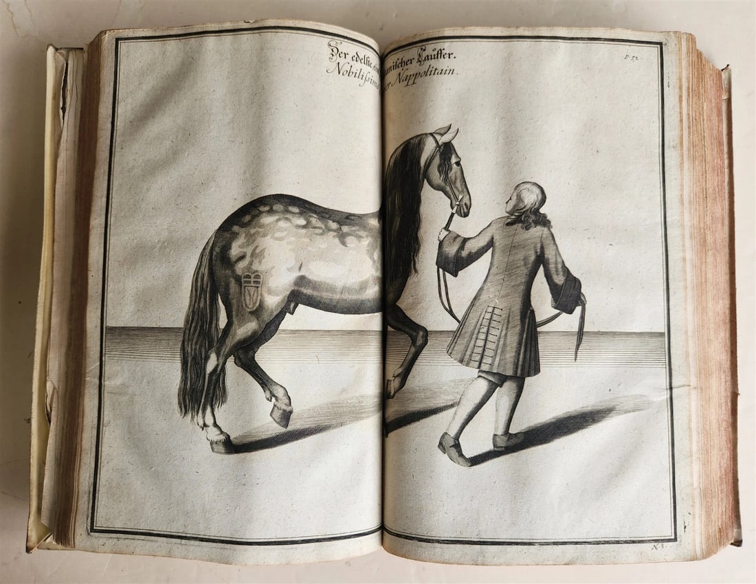 1700 HORSE BOOK FULLY ILLUSTRATED antique RIDING SCHOOL FOLIO - 8