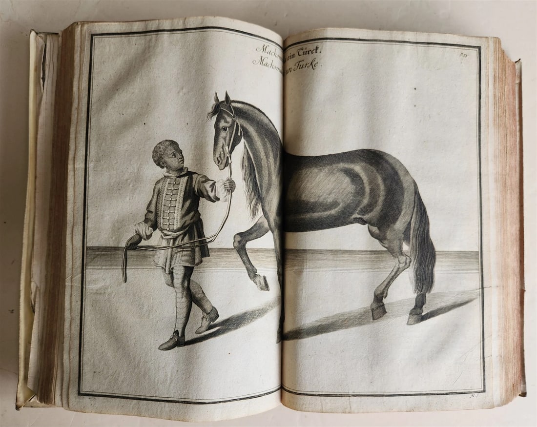 1700 HORSE BOOK FULLY ILLUSTRATED antique RIDING SCHOOL FOLIO - 9