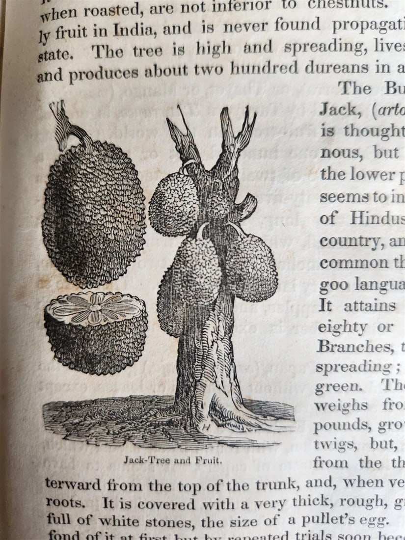 1839 TRAVELS SOUTHEAST ASIA antique ILLUSTRATED Hindustan Malaya Siam China - 10