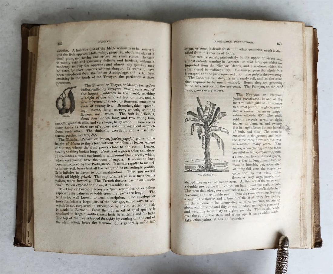 1839 TRAVELS SOUTHEAST ASIA antique ILLUSTRATED Hindustan Malaya Siam China - 9