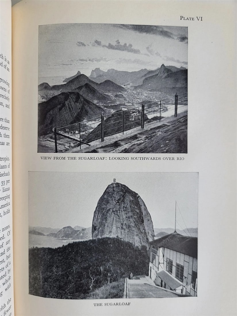 1931 A NATURALIST in BRAZIL by KONRAD GUENTHER vintage ILLUSTRATED - 3