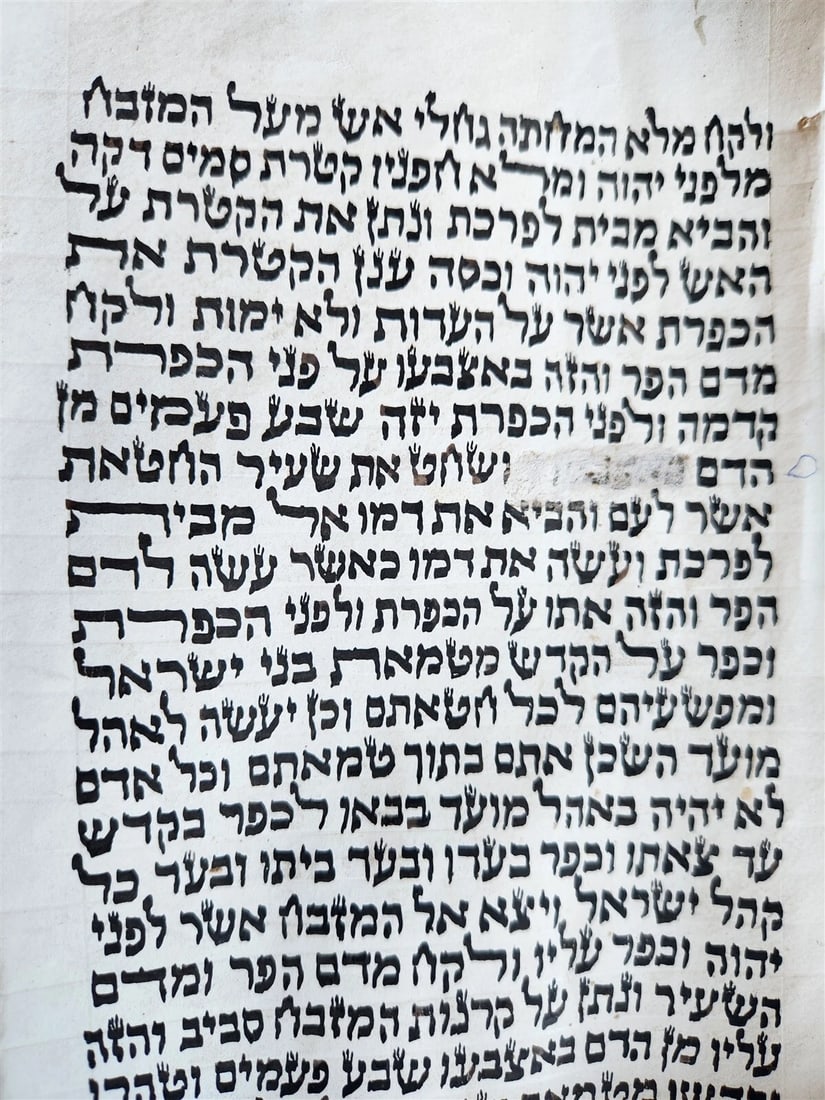 TORAH SCROLL FRAGMENT MANUSCRIPT on VELLUM antique BIBLE LEVITICUS 16:12 - 23:40 - 4