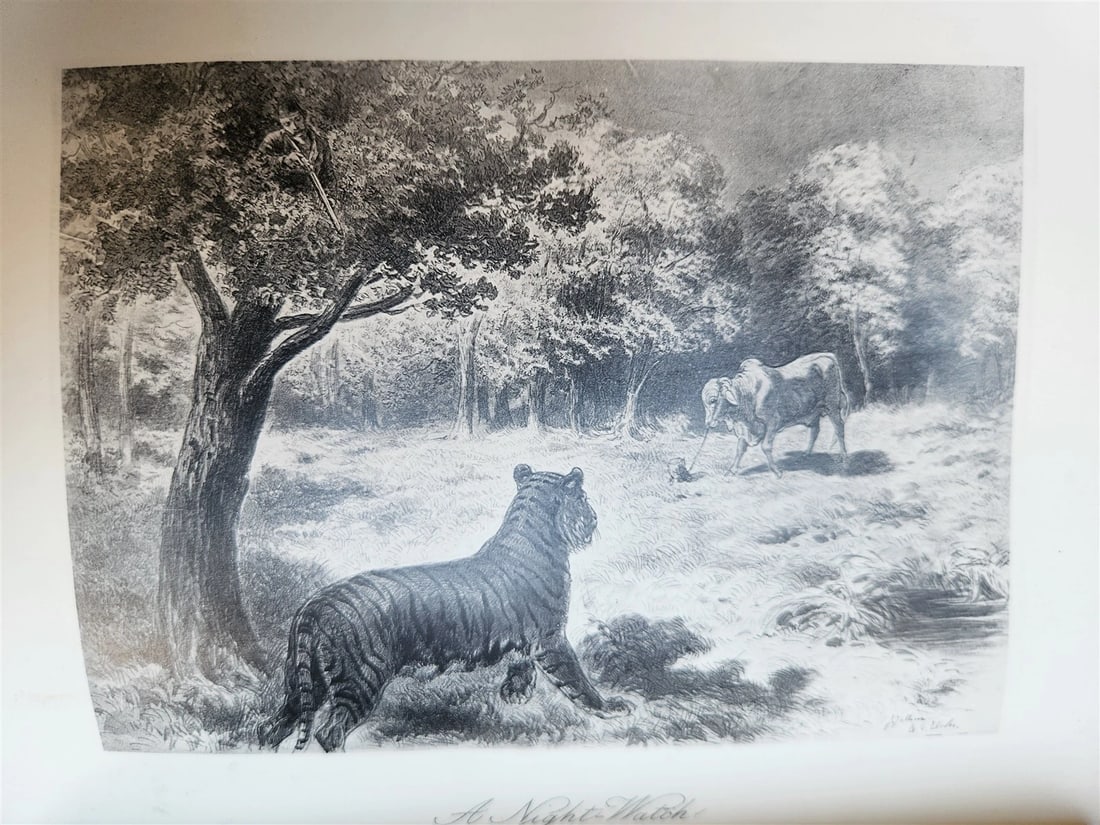 1879 THIRTEEN YEARS AMONG THE WILD BEASTS of INDIA antique ILLUSTRATED - 16