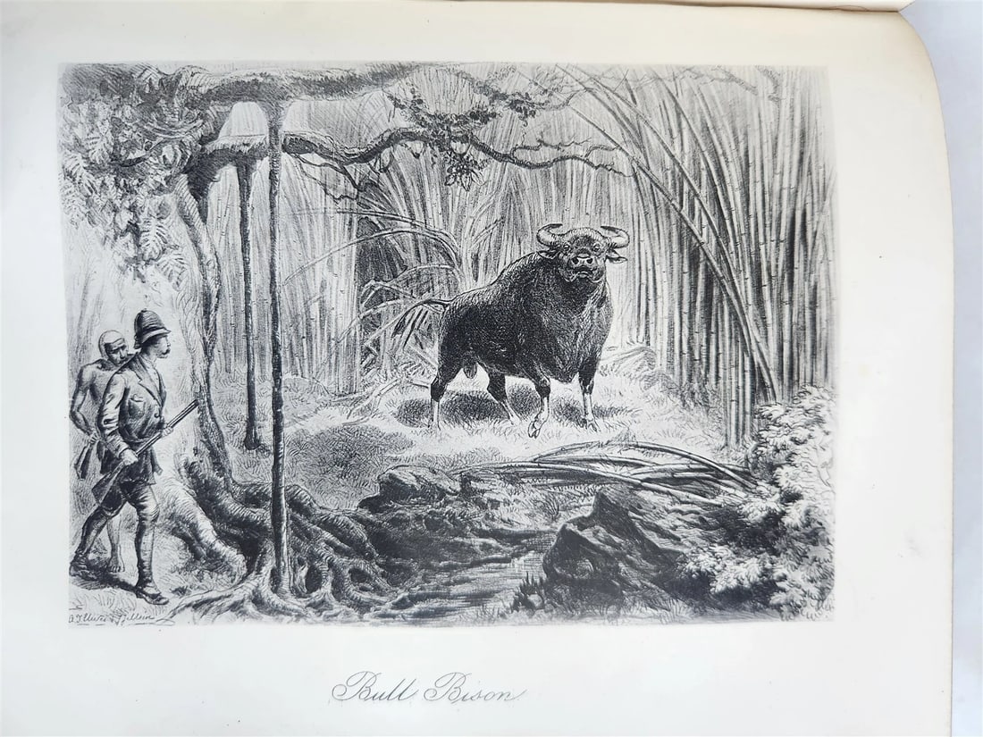 1879 THIRTEEN YEARS AMONG THE WILD BEASTS of INDIA antique ILLUSTRATED - 17