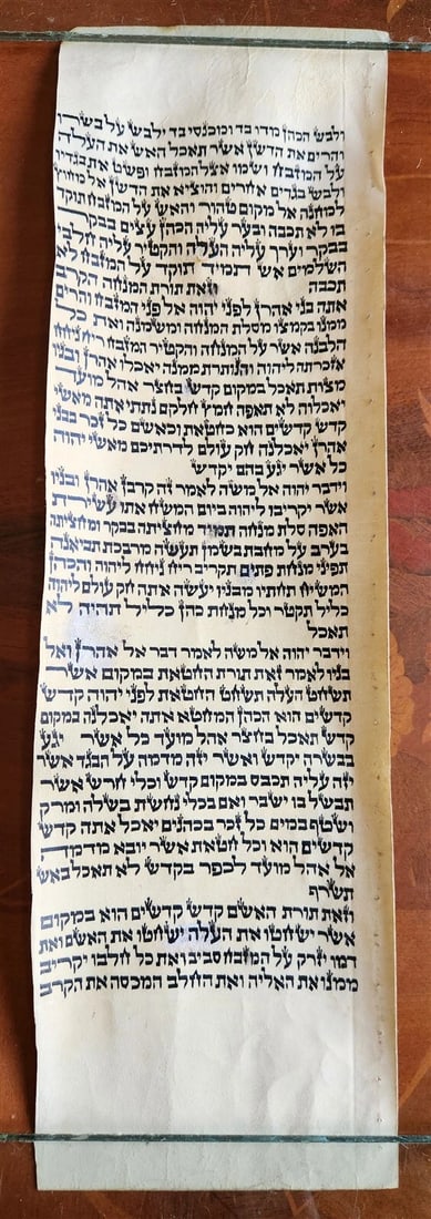 TORAH SCROLL FRAGMENT MANUSCRIPT on VELLUM antique BIBLE LEVITICUS 6:3 - 7:3 (1 of 2)