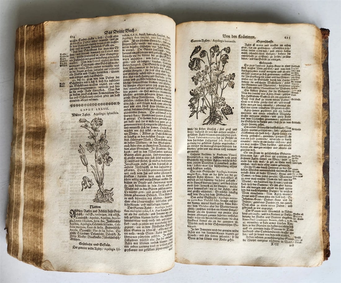 1696 HERBAL BOOK Theatrum botanicum antique ILLUSTRATED FOLIO 1200 woodcuts - 12