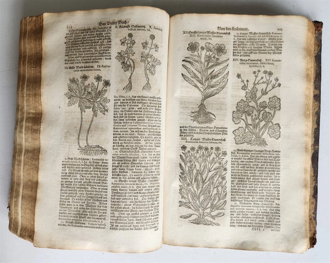 1696 HERBAL BOOK Theatrum botanicum antique ILLUSTRATED FOLIO 1200 woodcuts - 15