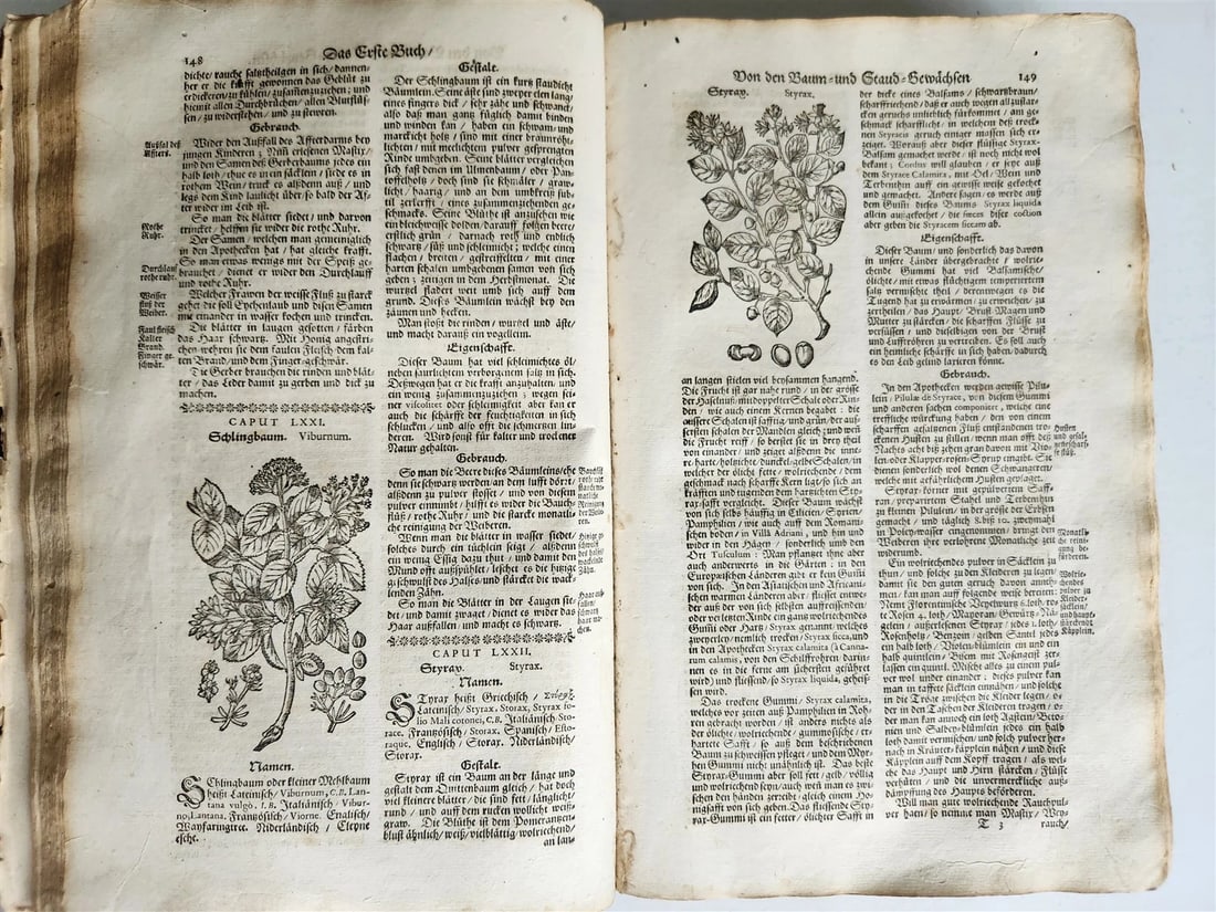 1696 HERBAL BOOK Theatrum botanicum antique ILLUSTRATED FOLIO 1200 woodcuts - 4