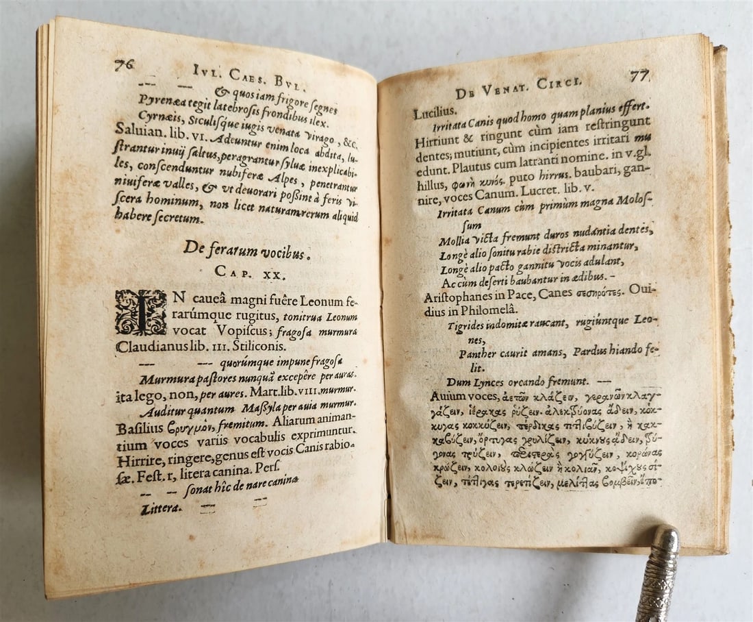 1598 TREATISE on HUNTING in CIRCUS & AMPHITHEATERS in ANTIQUITY antique VELLUM - 6