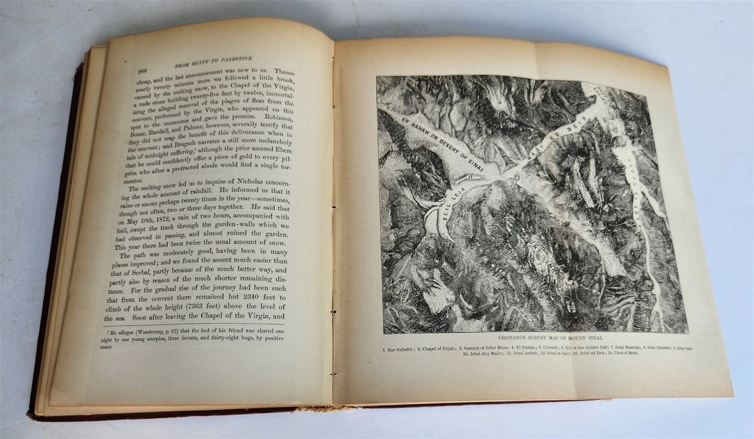 1879 FROM EGYPT TO PALESTINE by S. Bartlett antique ILLUSTRATED w/ FOLDING MAP - 10