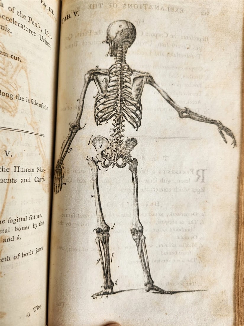 1791 System of Anatomy & Physiology ANTIQUE 3 vols. ILLUSTRATED - 4