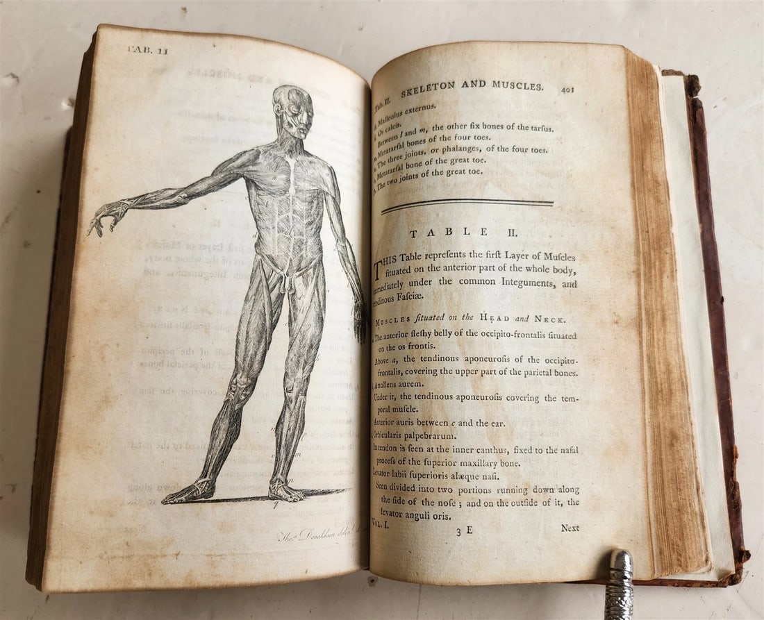 1791 System of Anatomy & Physiology ANTIQUE 3 vols. ILLUSTRATED - 7