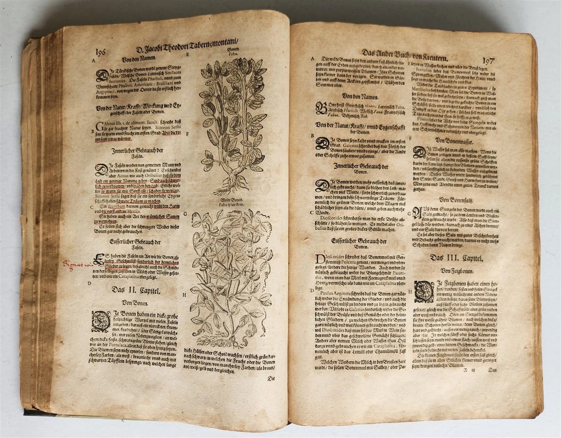 1588 HERBAL BOOK in GERMAN antique ILLUSTRATED Tabernaemontanus - 13