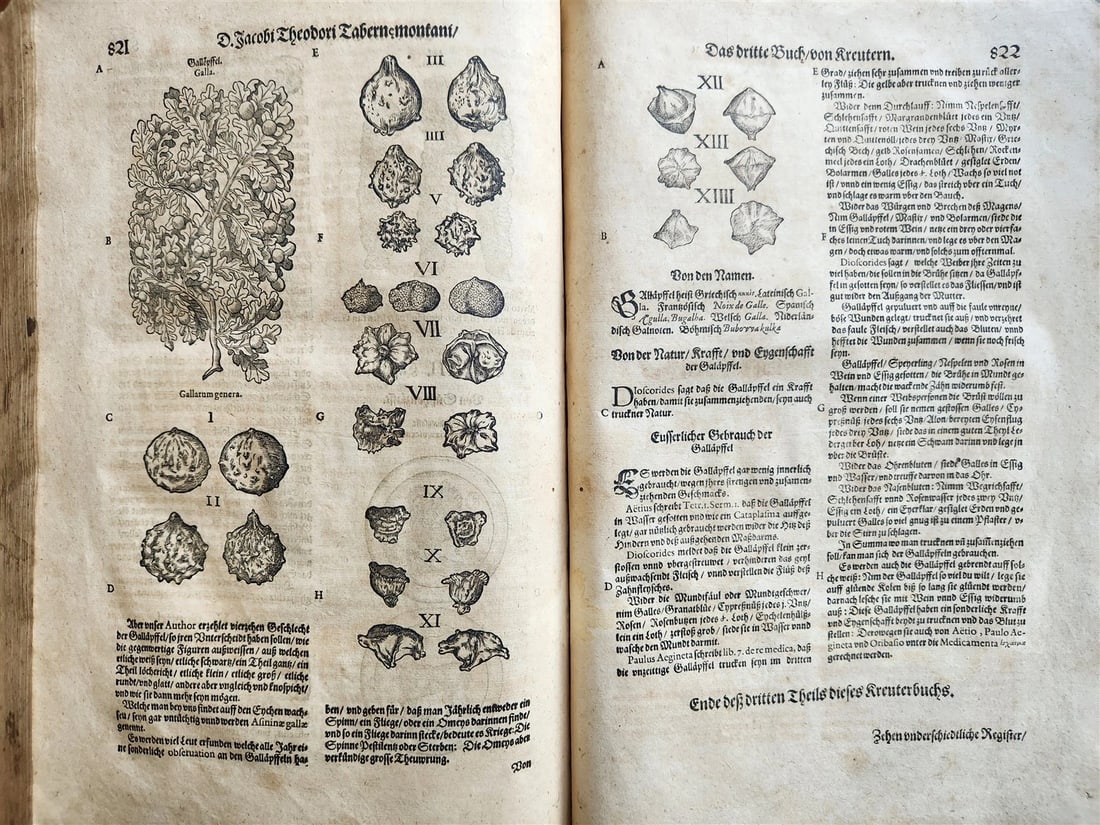 1588 HERBAL BOOK in GERMAN antique ILLUSTRATED Tabernaemontanus - 2