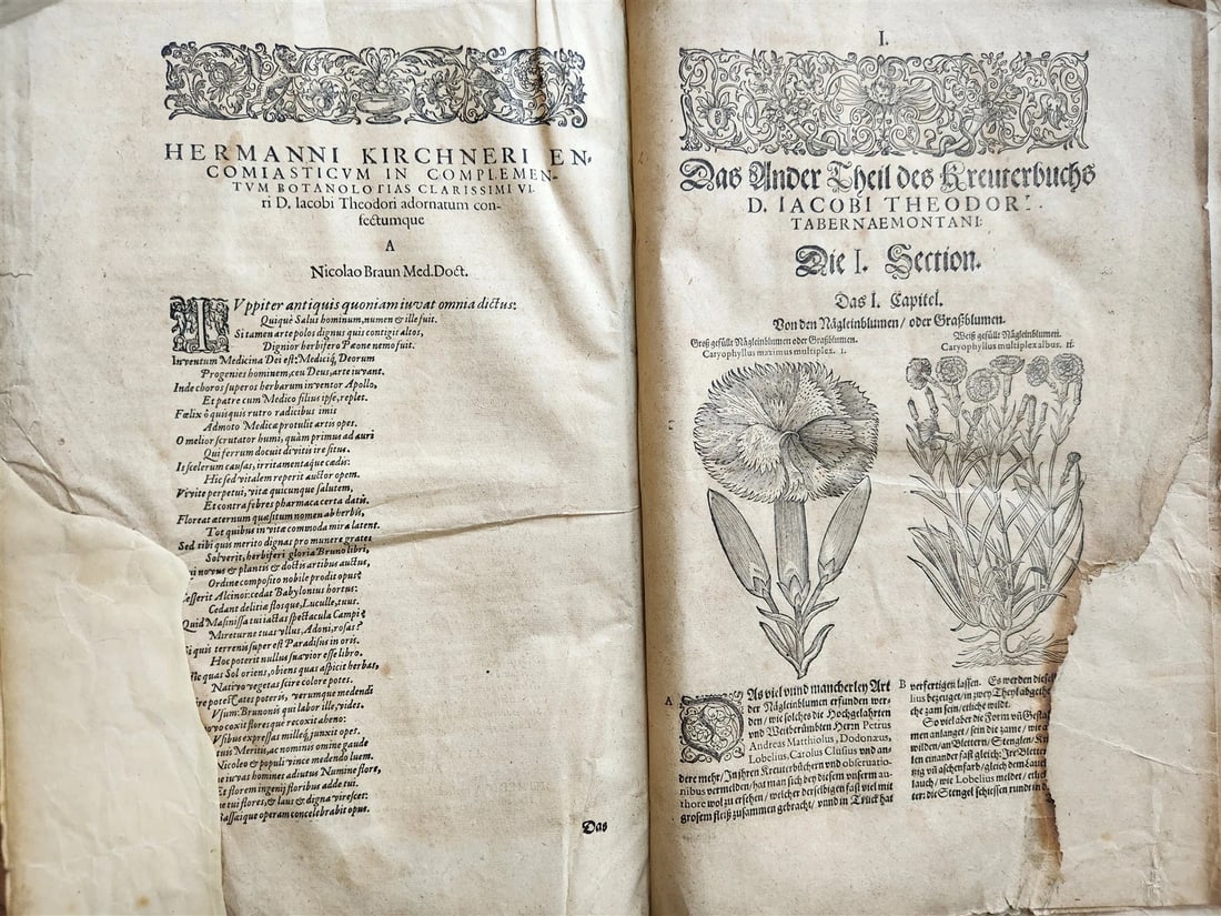 1588 HERBAL BOOK in GERMAN antique ILLUSTRATED Tabernaemontanus - 5