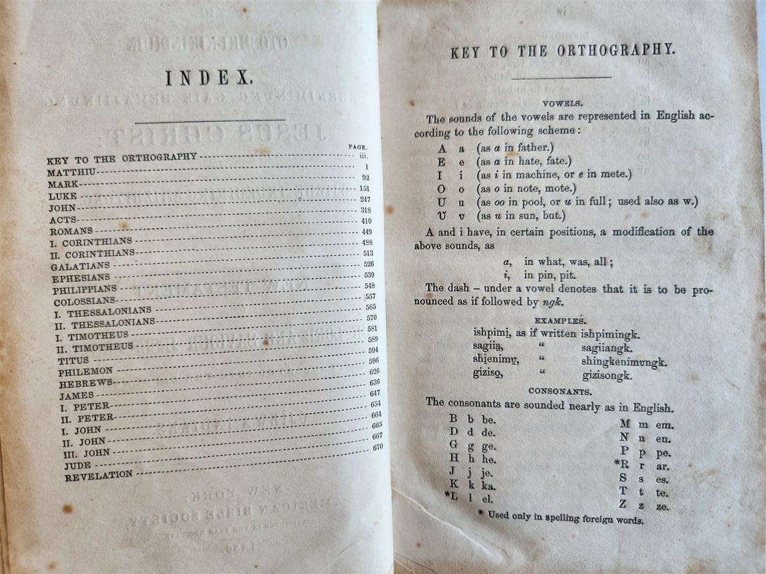 1856 BIBLE IN OJIBWE LANGUAGE Native Americana ANTIQUE rare - 3