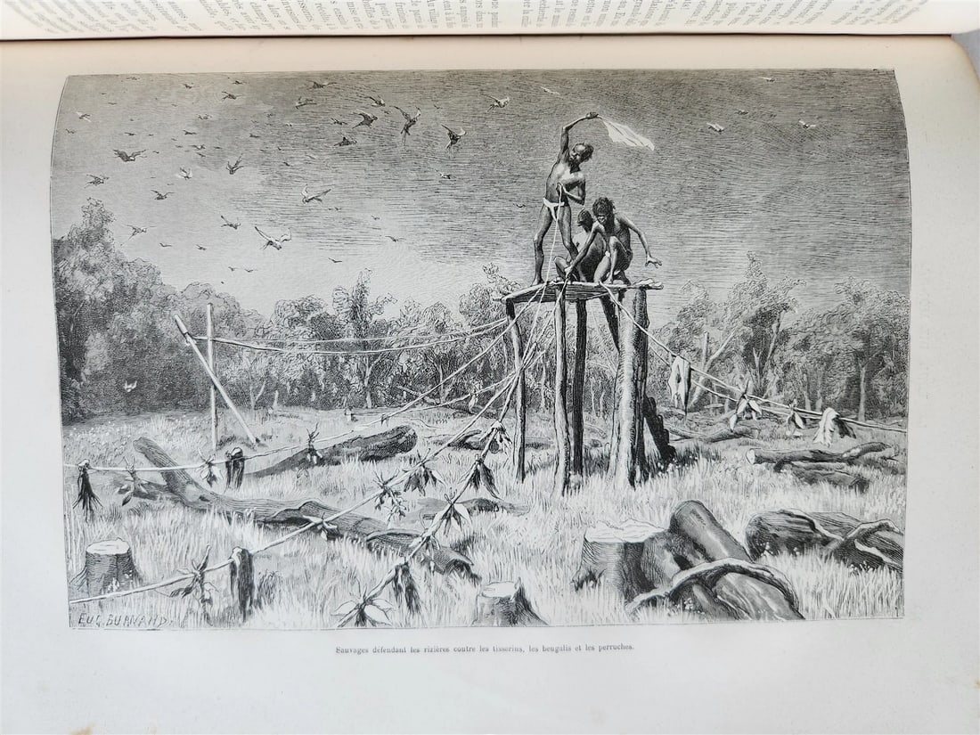 1880 HISTORY of VOYAGES ILLUSTRATED antique SYRIA AUSTRALIA LAOS VIETNAM PANAMA - 7