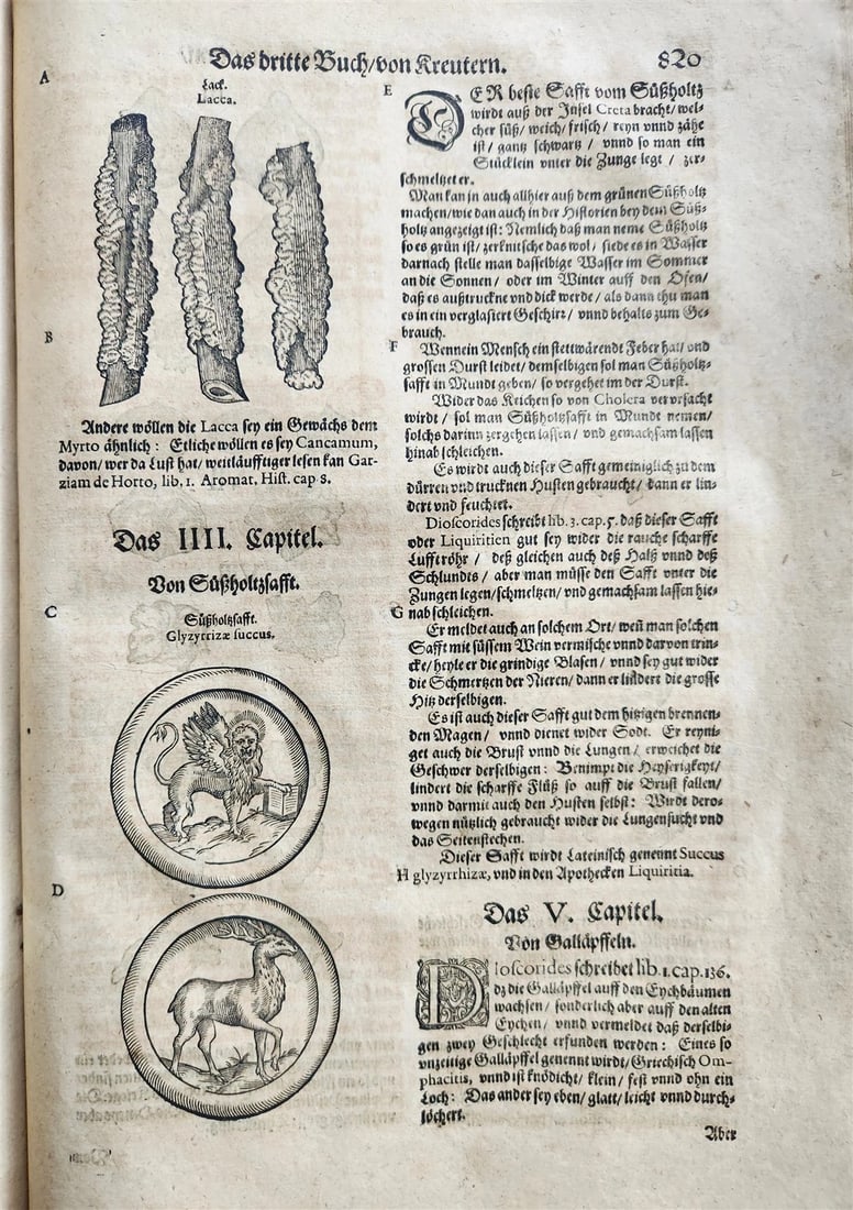 1588 HERBAL BOOK in GERMAN antique ILLUSTRATED Tabernaemontanus - 3