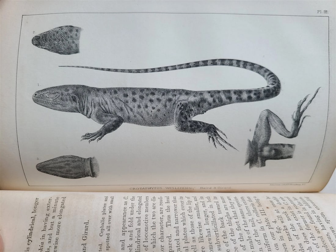 1852 EXPLORATION & SURVEY of VALLEY GREAT SALT LAKE of UTAH antique ILLUSTRATED - 9